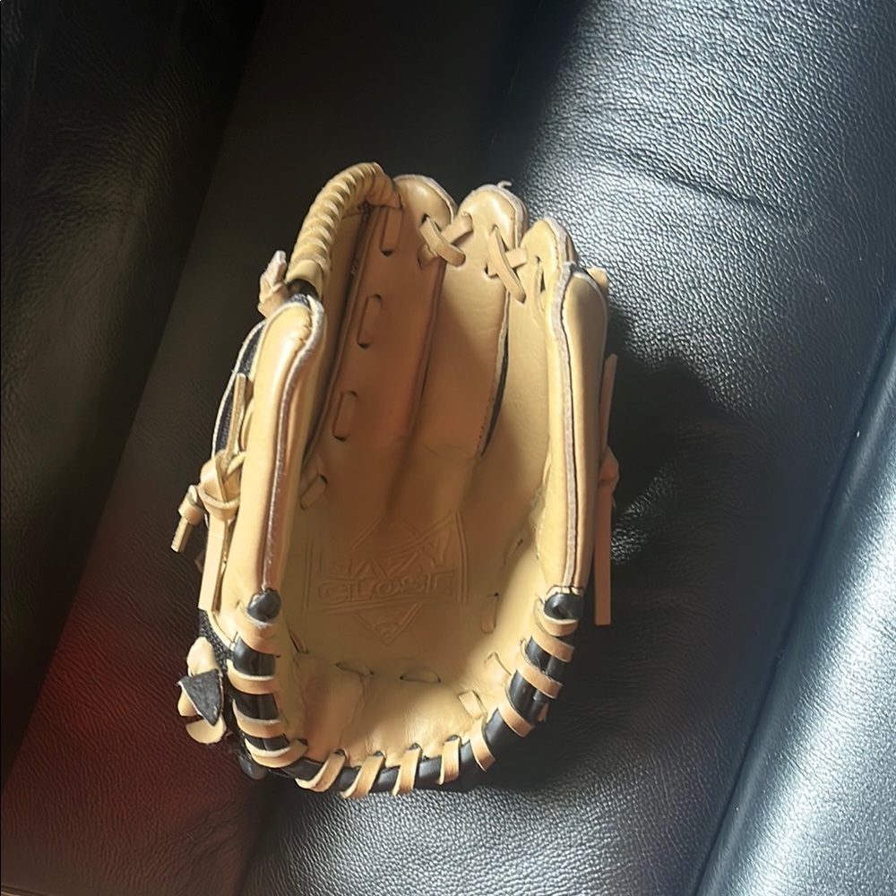 Glove